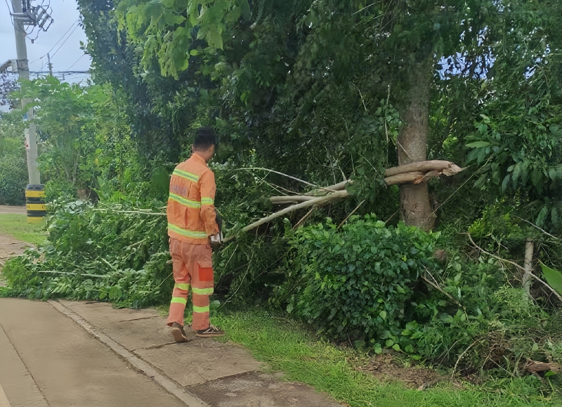 pp电子·模拟器(试玩游戏)官方网站